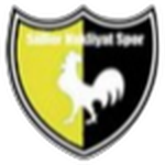 Süller Nakliyatspor