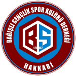 Bağışlı Gençlik