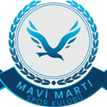 Mavi Martılar