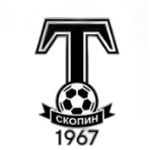 Torpedo Skopin