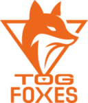 TeamOrangeGaming