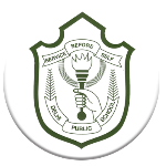 Дели Паблик Скул Р.К. Пурам Н. U17