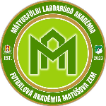 ФА Матушова зем Горне Салибы/Томашиково U19
