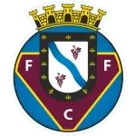 ФК Фелгейраш 1932 U23