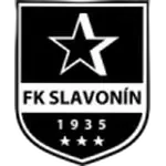 ФК Славонин
