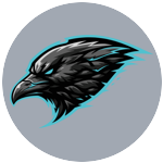 Not A Squad Esports